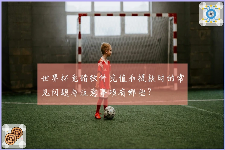 世界杯竞猜软件充值和提款时的常见问题与注意事项有哪些？
