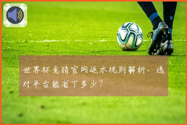 世界杯竞猜官网返水规则解析，选对平台能省下多少？