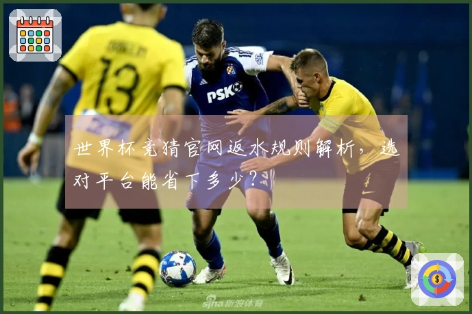 世界杯竞猜官网返水规则解析，选对平台能省下多少？