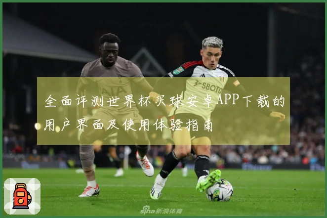 全面评测世界杯买球安卓APP下载的用户界面及使用体验指南