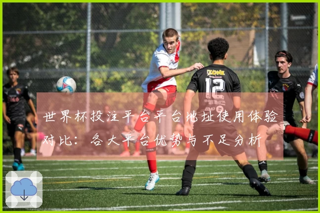 世界杯投注平台平台地址使用体验对比：各大平台优势与不足分析