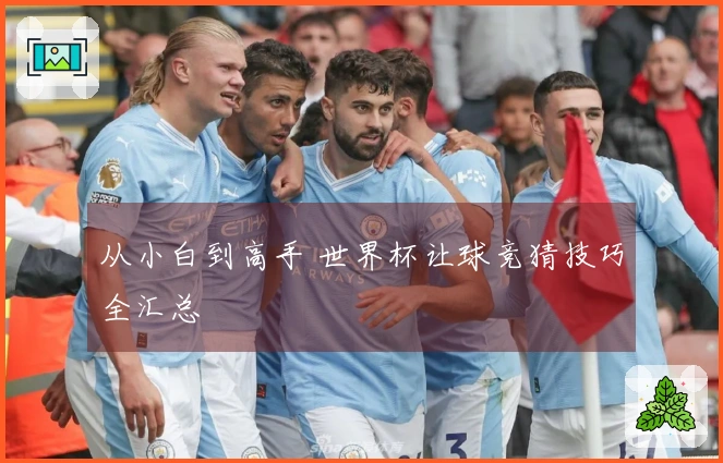 从小白到高手 世界杯让球竞猜技巧全汇总