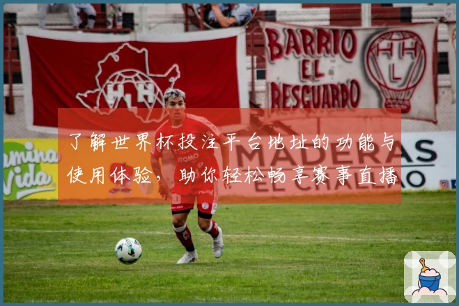 了解世界杯投注平台地址的功能与使用体验，助你轻松畅享赛事直播