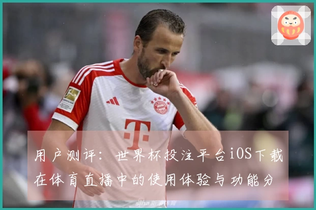 用户测评：世界杯投注平台iOS下载在体育直播中的使用体验与功能分析