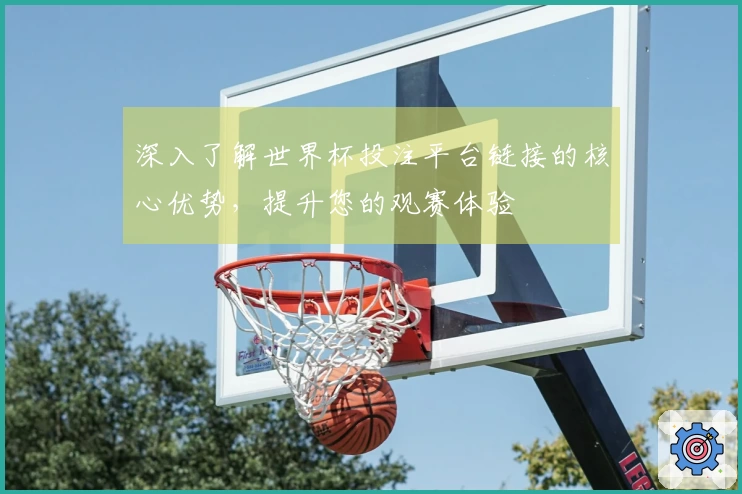 深入了解世界杯投注平台链接的核心优势，提升您的观赛体验