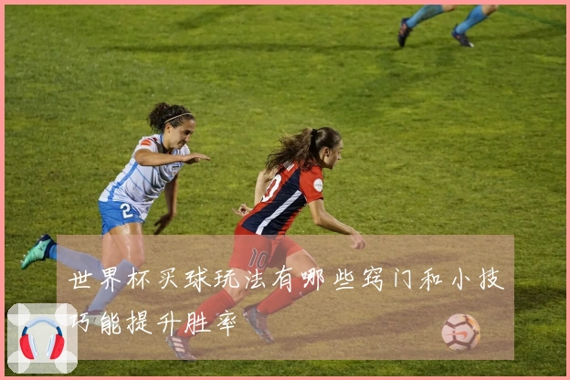 世界杯买球玩法有哪些窍门和小技巧能提升胜率