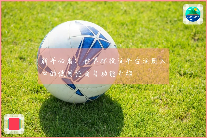 新手必看：世界杯投注平台注册入口的使用指南与功能介绍