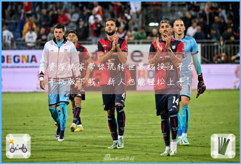 资深玩家带你玩转世界杯投注平台手机版下载，新人也能轻松上手！