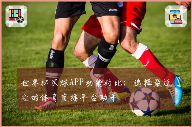 世界杯买球APP功能对比：选择最适合的体育直播平台助手