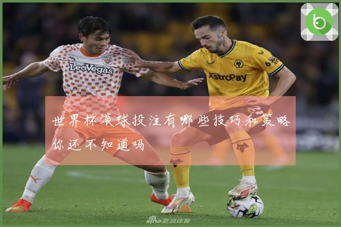 世界杯滚球投注有哪些技巧和策略你还不知道吗
