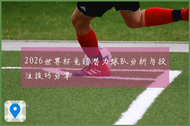 2026世界杯竞猜潜力球队分析与投注技巧分享