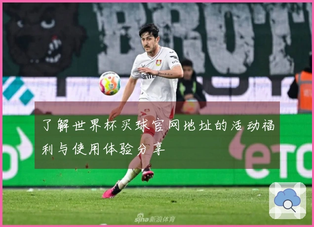 了解世界杯买球官网地址的活动福利与使用体验分享